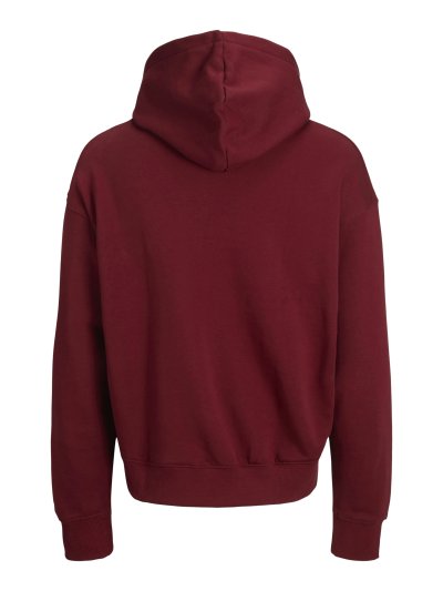 JorCambridge Kapüşonlu Sweatshirt 12283967