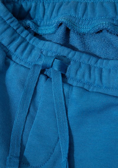 MAVİ BASKILI ŞORT Cyaneus