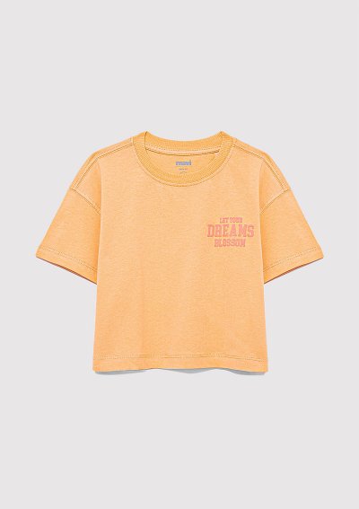 CHASE YOUR DREAMS BASKILI CROP TİŞÖRT Tu