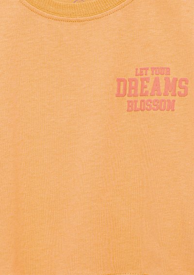 CHASE YOUR DREAMS BASKILI CROP TİŞÖRT Tu